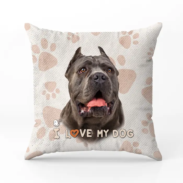 Декоративна възглавница 2309 - 1449 - Декоративна възглавница 2309 - 1449